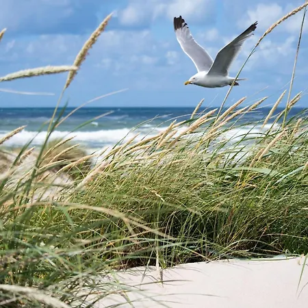 Appartamento In Duinbergen By Sailing Club Knokke-Heist